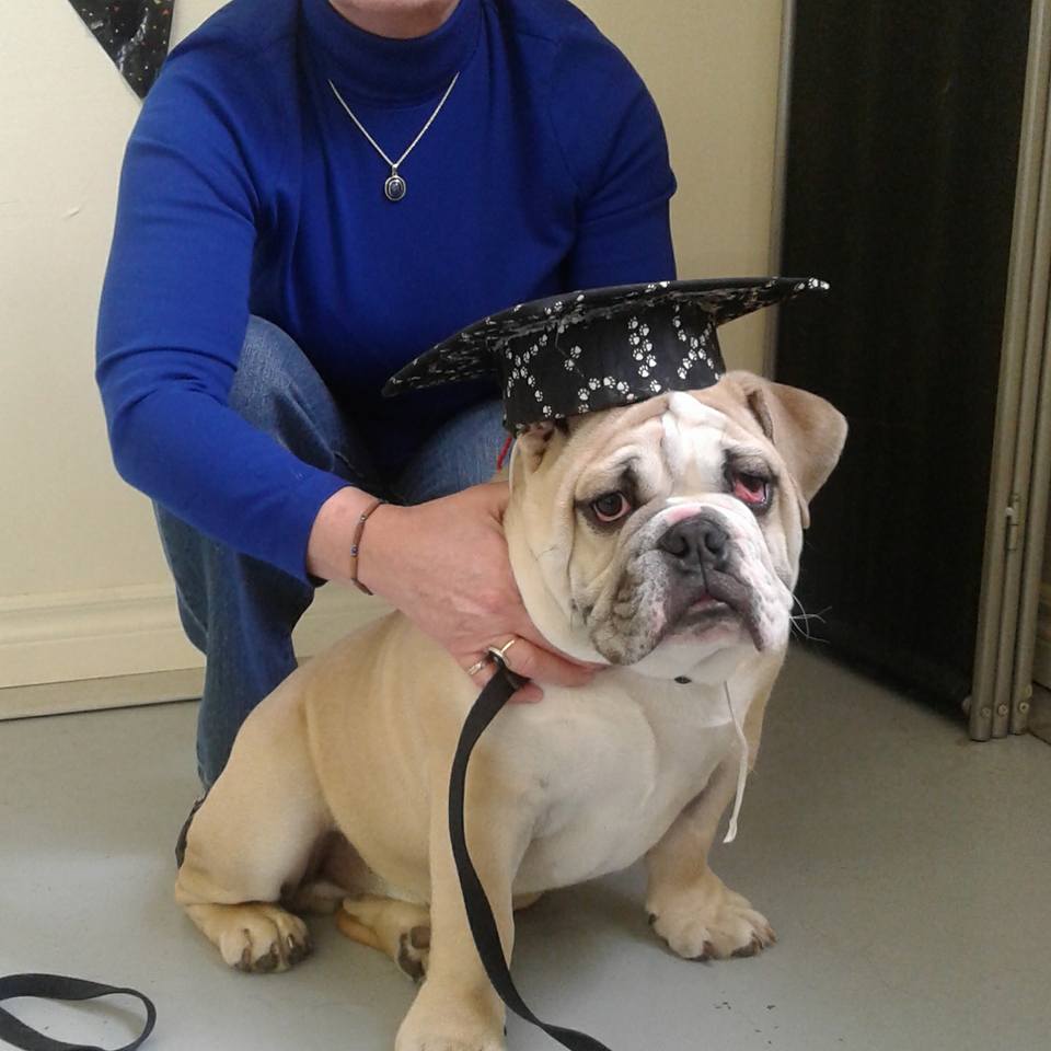 The Dog Nanny Canine Training Academy | 1963 Innisfil Beach Rd, Innisfil, ON L9S 4B4, Canada | Phone: (705) 436-4158