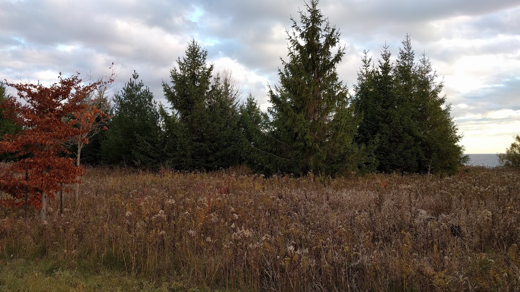 Ronald C. Deeth Park | Whitby, ON L1N 9V9, Canada