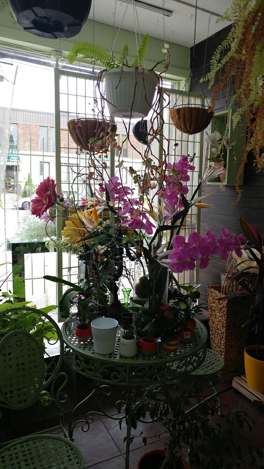 Fleuriste Cartierville | 4625 Rue de Salaberry, Montréal, QC H4J 1H7, Canada | Phone: (514) 334-7673