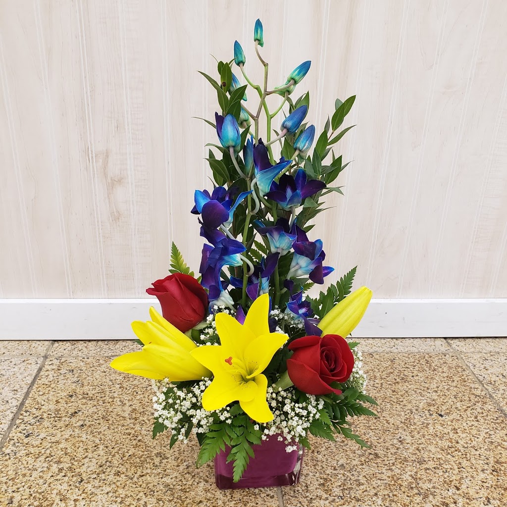 Blooms by May | 8330 82 Ave NW, Edmonton, AB T6C 4E3, Canada | Phone: (780) 244-1834