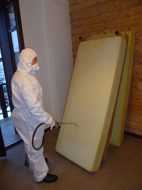 Extermination Génie gestion parasitaire | 610 Rue Montrose, Laval, QC H7E 3M4, Canada | Phone: (514) 692-6337