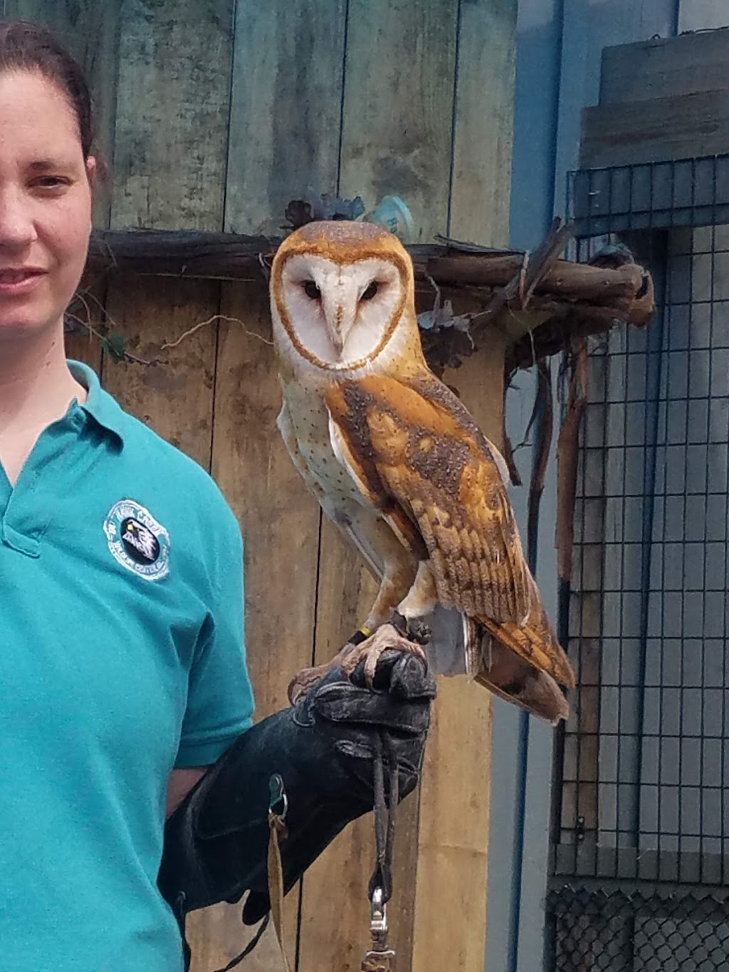Hawk Creek Wildlife Center | 1963 Mill Rd, East Aurora, NY 14052, USA | Phone: (716) 652-8646