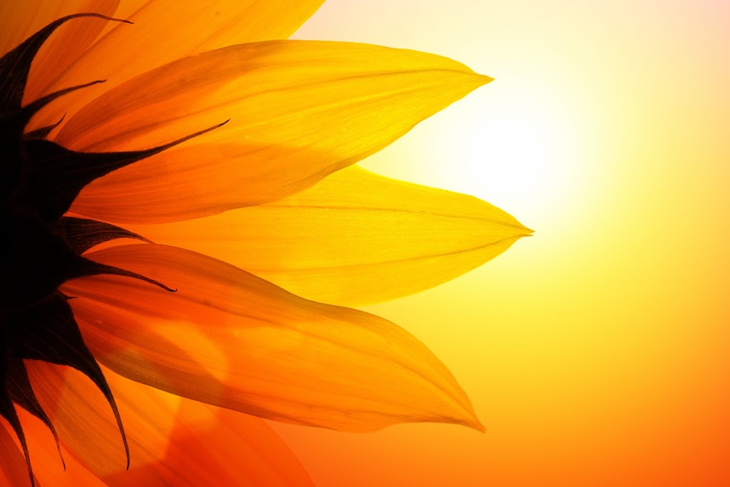 Dr. Pamela Frank, Naturopathic Doctor | 88 Eglinton Ave W Suite 101, Toronto, ON M4R 1A2, Canada | Phone: (416) 481-0222