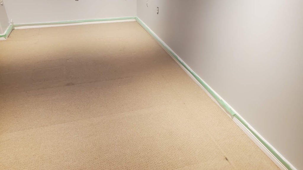 Spider | 301 Emerald St, Kingston, ON K7P 3E1, Canada | Phone: (613) 770-1725