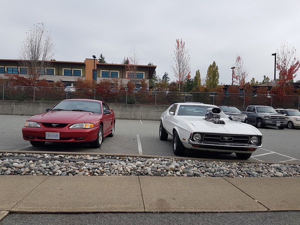 Mopac Auto Supply | 19950 84 Ave, Langley City, BC V2Y 3C2, Canada | Phone: (604) 881-4900