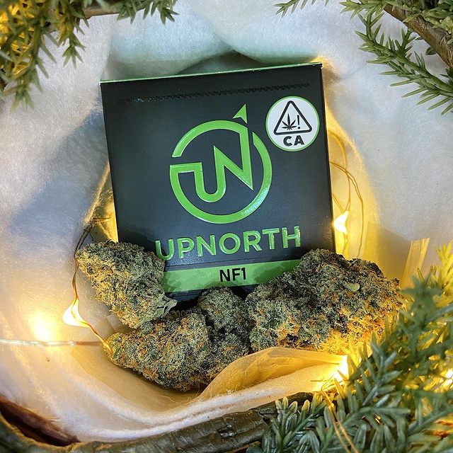 Milton Dispensary Online | 29 Armstrong Ave, Georgetown, ON L7G 4S1, Canada | Phone: (365) 800-6308