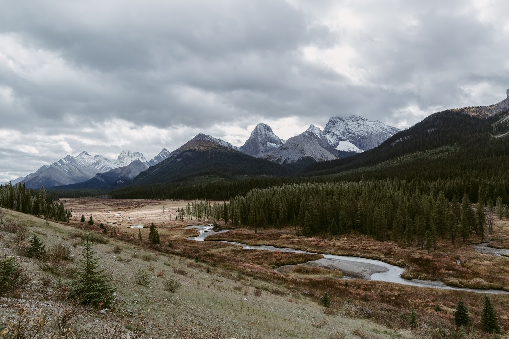 The Paper Deer Photography | 1800 27 Ave NE, Salmon Arm, BC V1E 3X4, Canada | Phone: (403) 505-9628