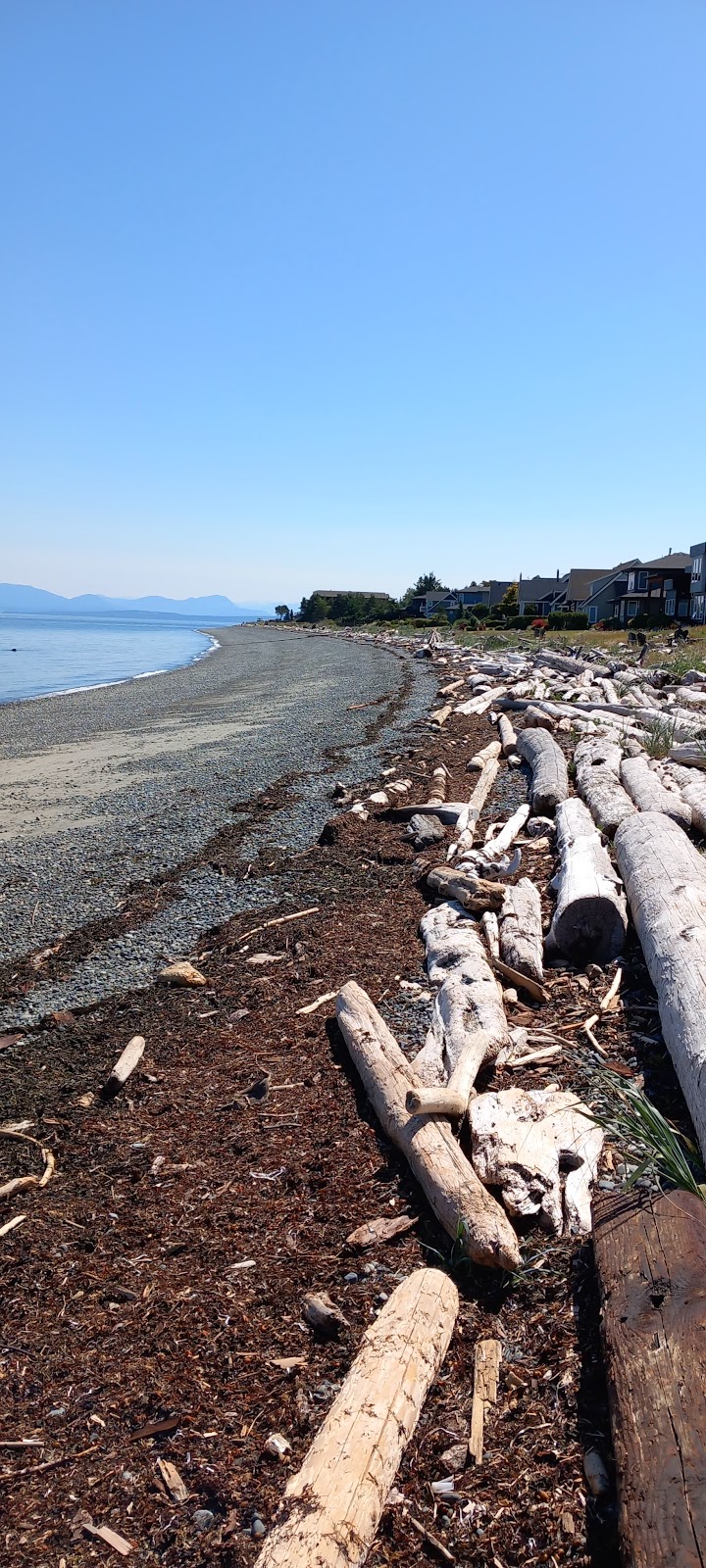 Comox Harbour Charters | Fishermans Wharf, Comox Valley Harbour Authority 121 Port Augusta Street, Dock H, Comox, BC V9M 3N8, Canada | Phone: (236) 655-5763