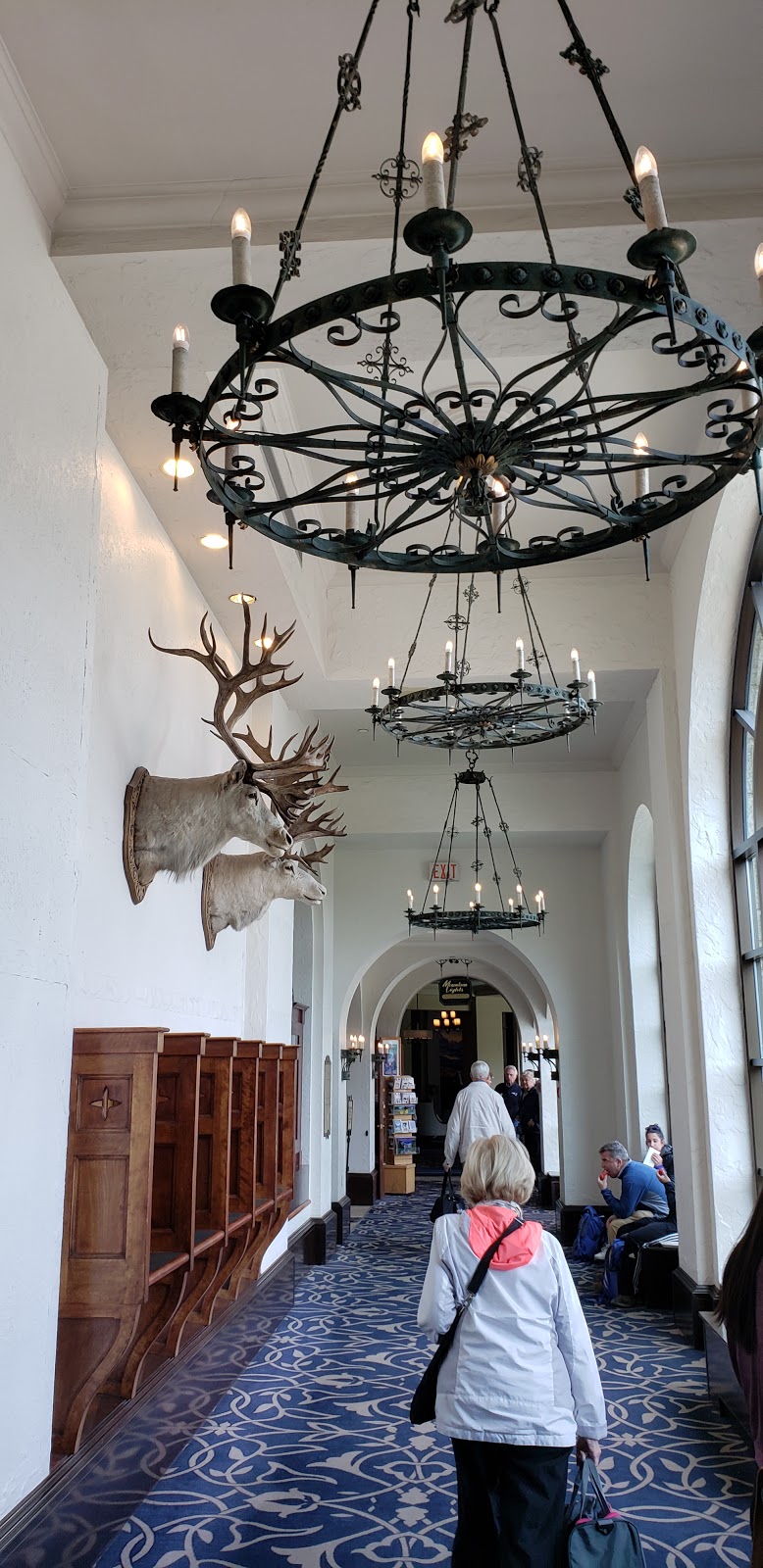 Mountain Lights Books & Crafts | 111 Lake Louise Dr, Lake Louise, AB T0L 1E0, Canada | Phone: (403) 522-3734
