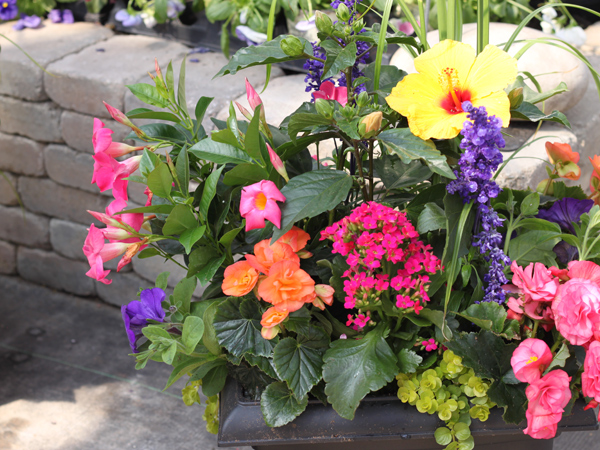 Brantim Country Garden Centre | 3994 Hamilton Side Rd, Almonte, ON K0A 1A0, Canada | Phone: (613) 256-4940