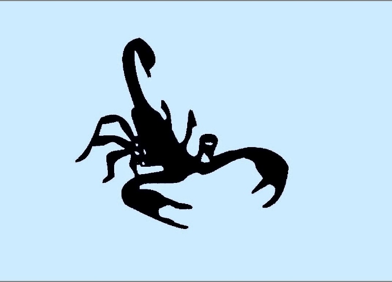 Scorpion Bookkeeping.... a division of Scorpion Business Services Ltd | 220 Lake Park Rd, Lake Cowichan, BC V0R 2G1, Canada | Phone: (250) 932-2015