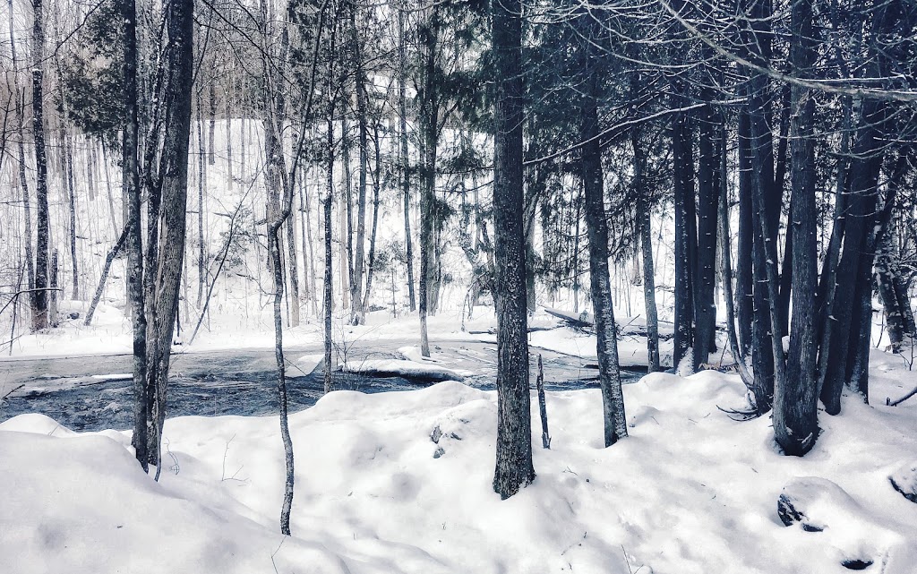 Old Chelsea Picnic Area | 15 Chemin Kingsmere, Chelsea, QC J9B 1G8, Canada | Phone: (613) 239-5678