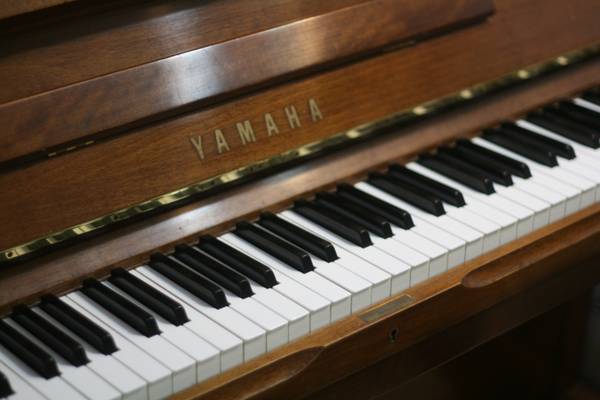 Jarvis Phan Music Studio | 10419 Newark Pl, Surrey, BC V3R 6T9, Canada | Phone: (778) 242-0996