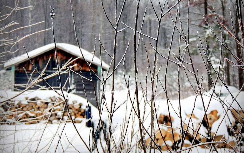 Club de ski de fond La Loutre | Av. Mercure, Plessisville, QC G6L 1E1, Canada | Phone: (819) 362-7145