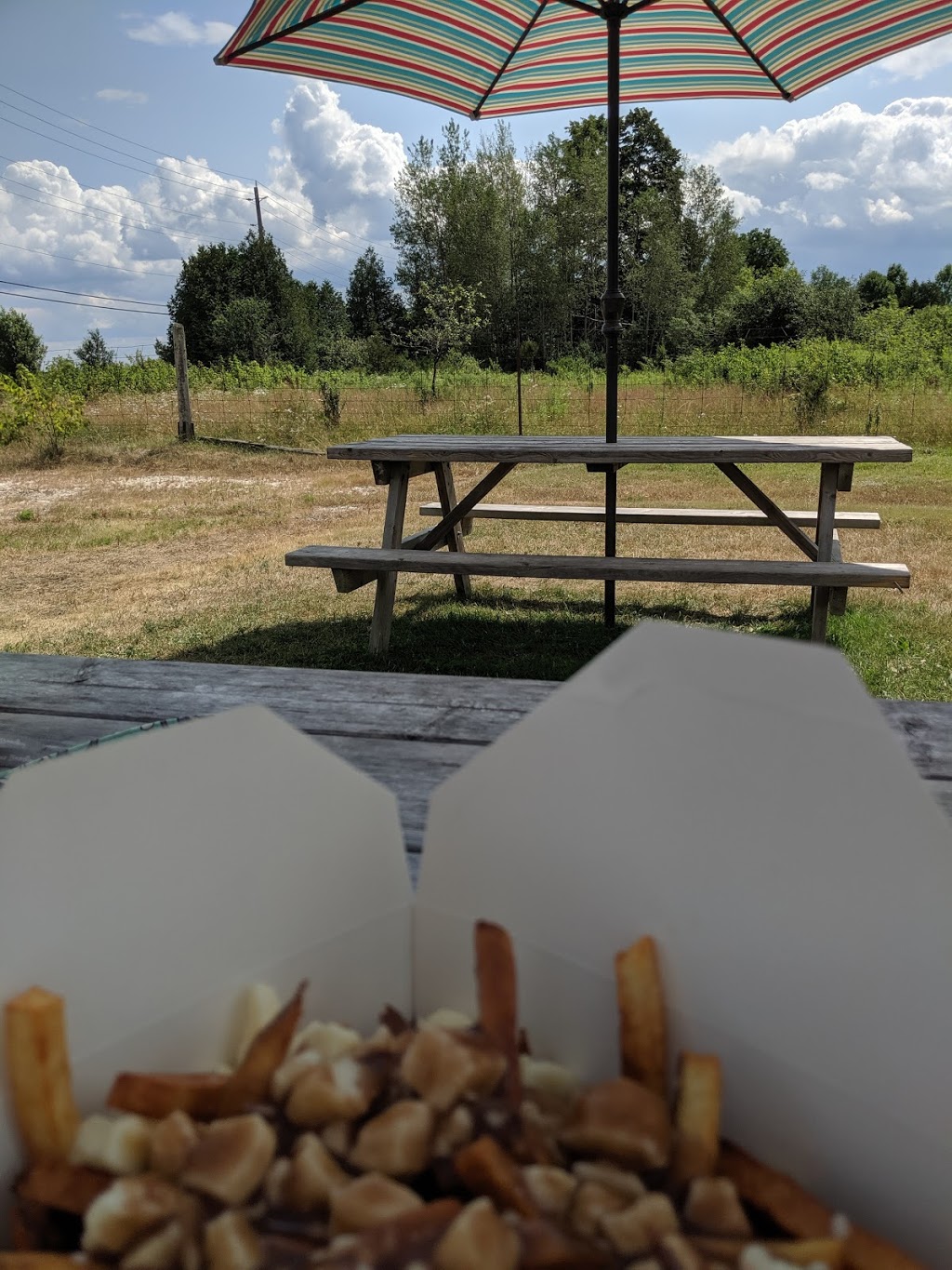 Charleston Cookhouse Chip Truck | 312 Charleston Rd, Athens, ON K0E 1B0, Canada | Phone: (613) 640-2873