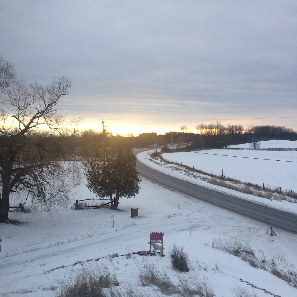 Rose Cottage Bed & Breakfast (Gluten Free) | 1585 Crookston Rd, Tweed, ON K0K 3J0, Canada | Phone: (343) 600-9159