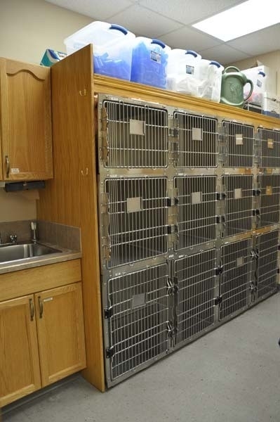 Animal Emergency Hospital | 7644 50 Ave, Red Deer, AB T4P 2A8, Canada | Phone: (403) 347-3277