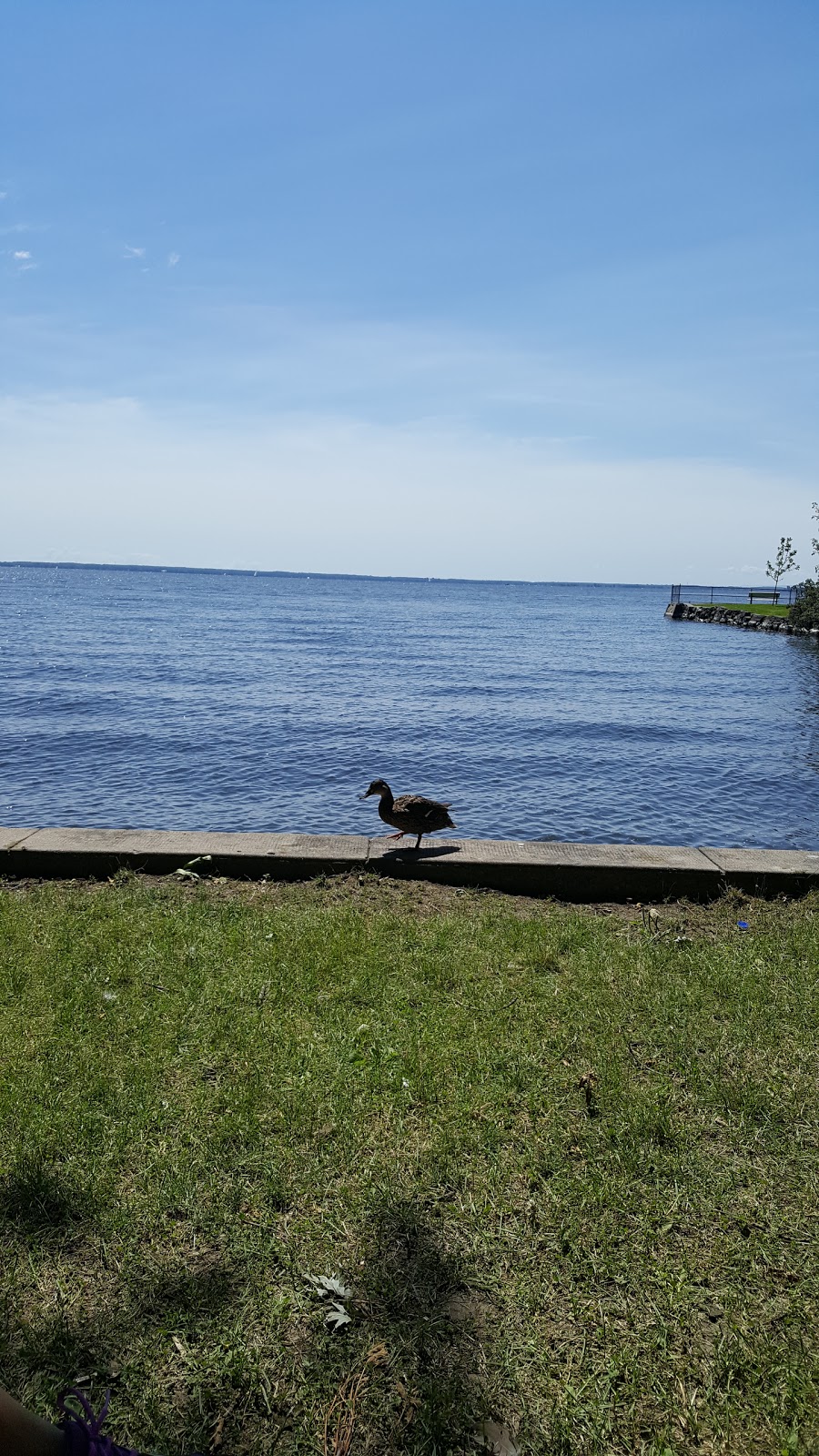 Beaconsfield Beach | 286 Boulevard Beaconsfield, Beaconsfield, QC H9W 4A4, Canada