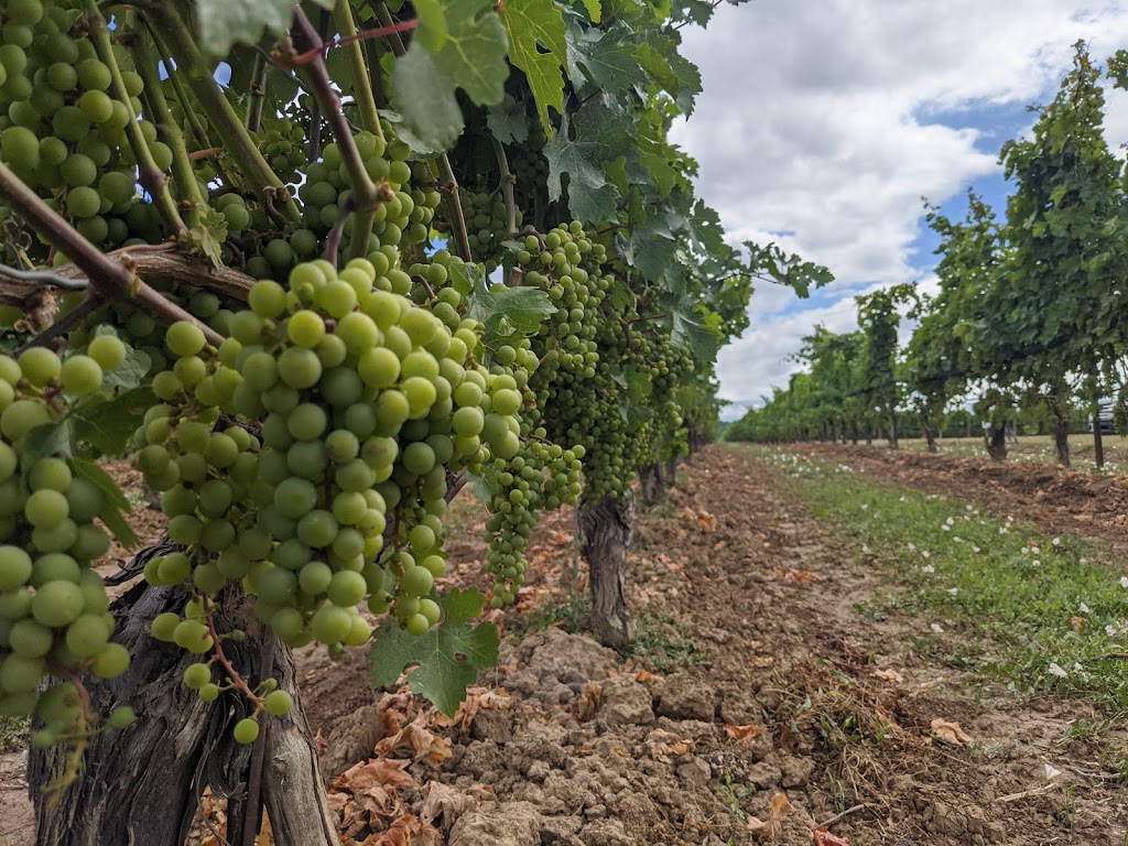 Niagara Wine Tours International | 1534 Niagara Stone Rd, Niagara-on-the-Lake, ON L0S 1J0, Canada | Phone: (905) 988-0405