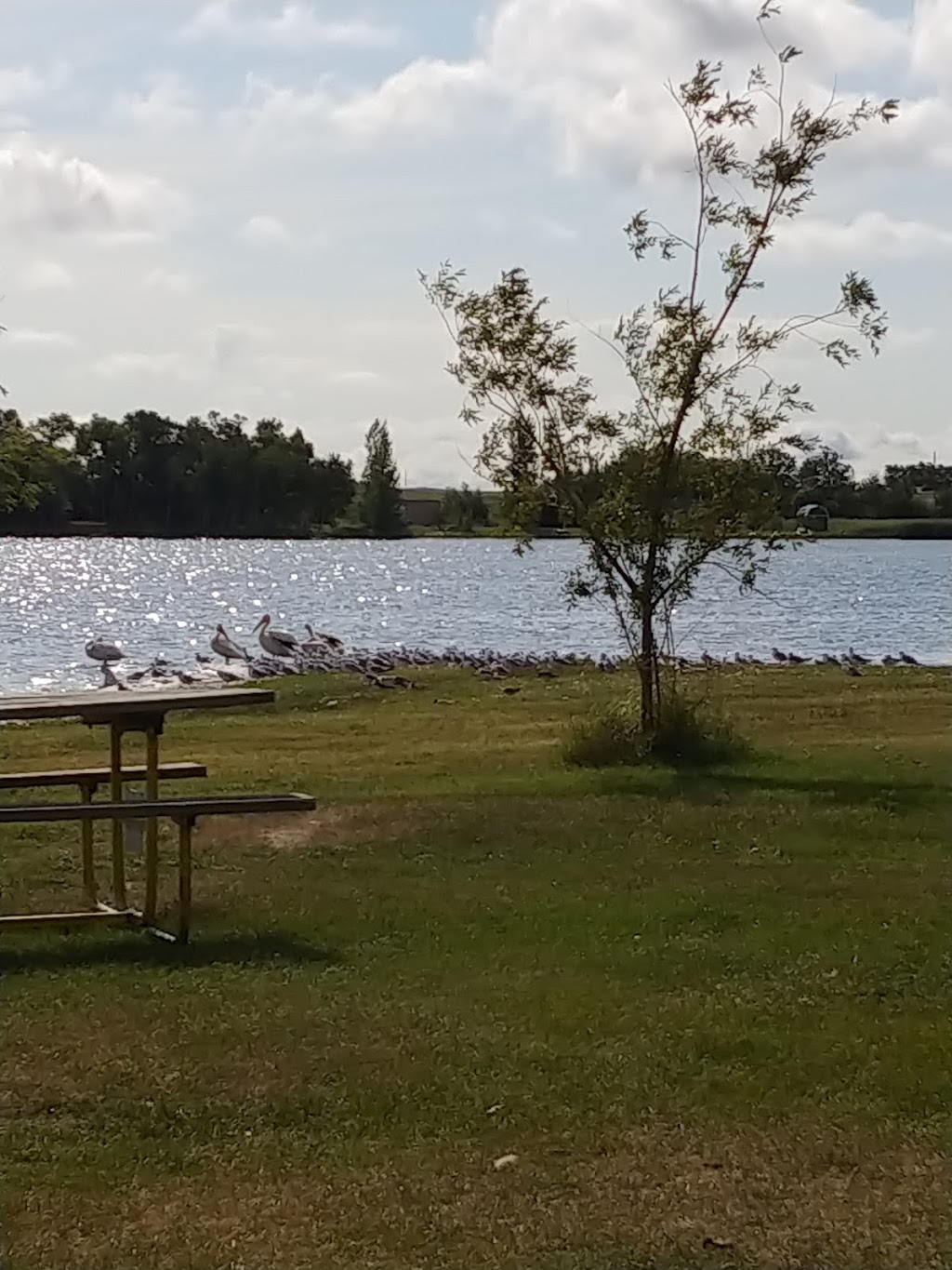 Lake 7 Resort | Unnamed Road, 0G0, Bruxelles, MB R0G 0G0, Canada | Phone: (204) 208-0072