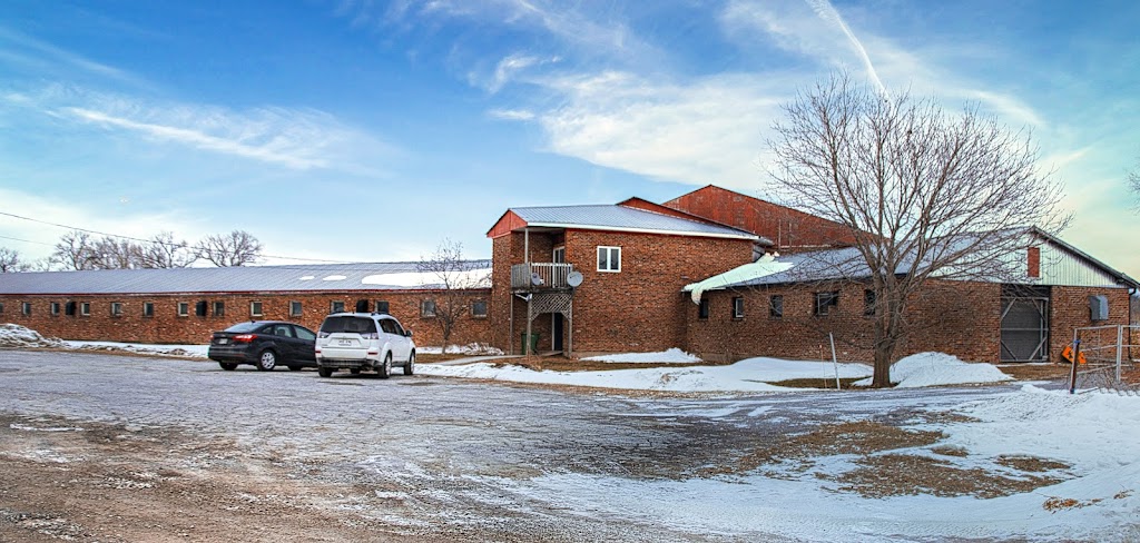 Equestrian Centre Performance Complicité | 17 Rue Marziali, Bedford, QC J0J 1A0, Canada | Phone: (514) 894-5416