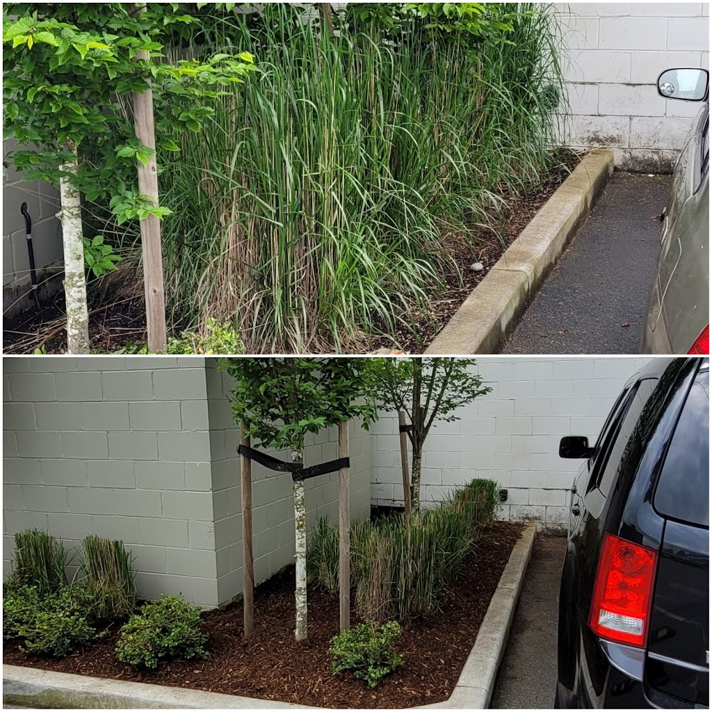 Pain In The Grass Grounds Maintenance | 46423 Cornwall Crescent, Chilliwack, BC V2P 7A8, Canada | Phone: (604) 309-9304