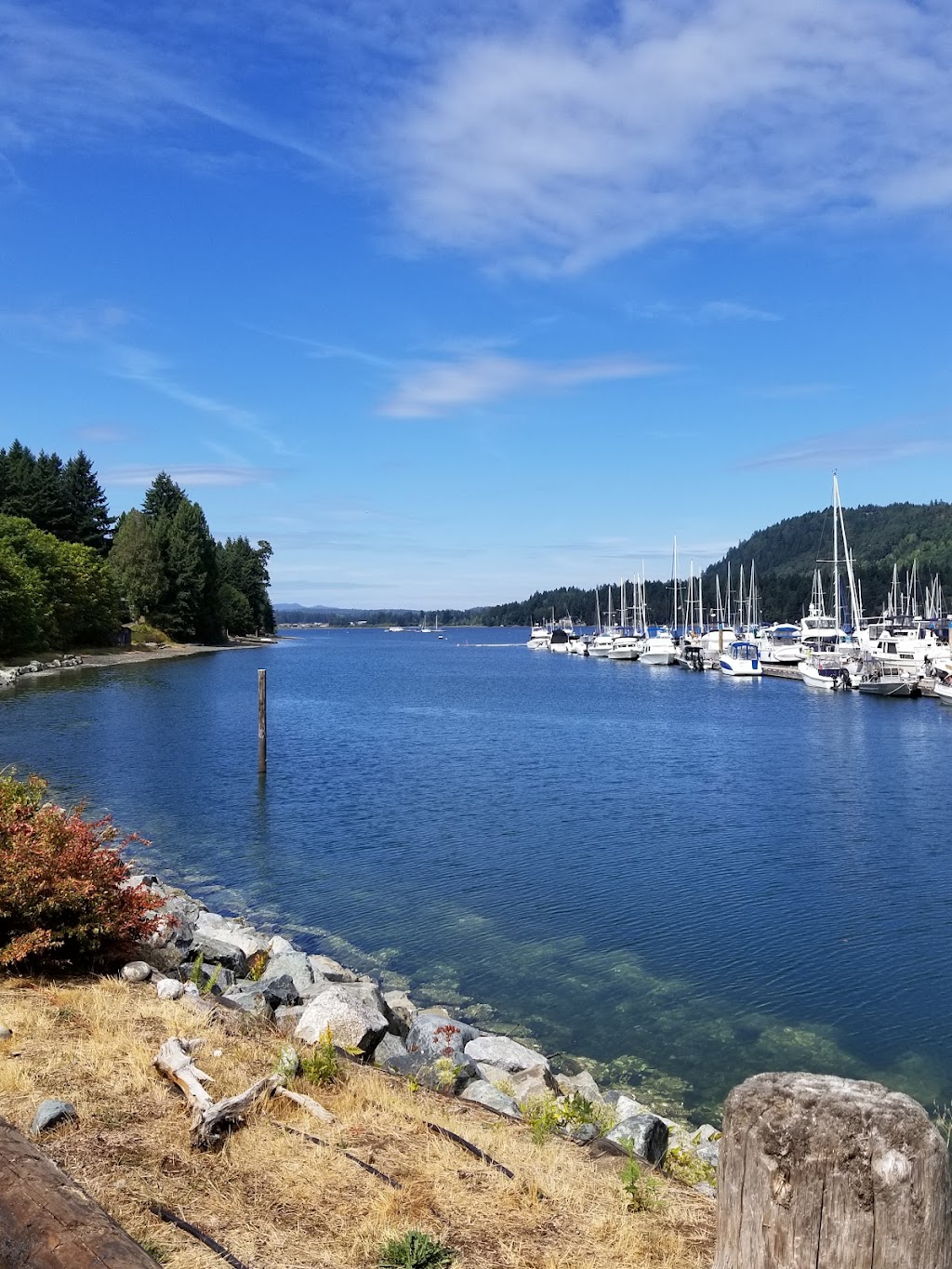 Ladysmith Marina | 901 Gladden Rd, Ladysmith, BC V9G 1K4, Canada | Phone: (250) 245-4521