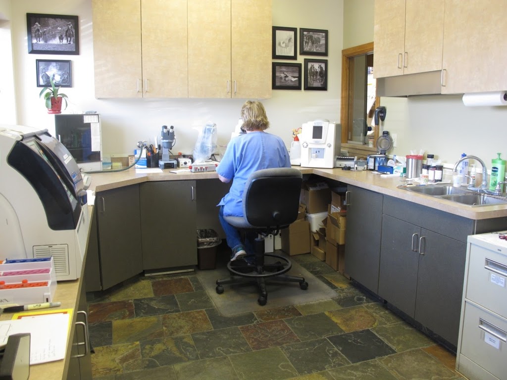Kulshan Veterinary Hospital | 8880 Benson Rd, Lynden, WA 98264, USA | Phone: (360) 354-5095