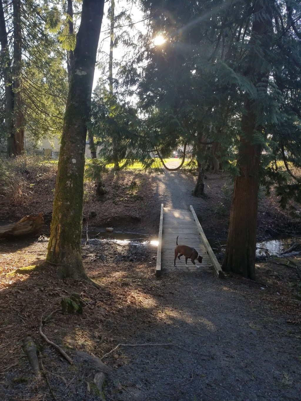 Westview Park Off-Leash Area | 12067-12185 210 St, Maple Ridge, BC V2X, Canada
