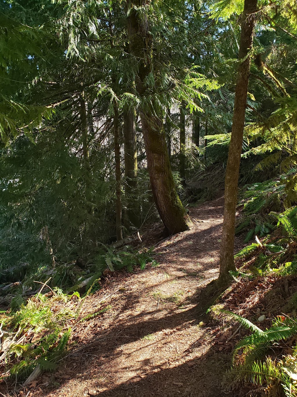 Inner Realms Counselling | Point Ideal Dr, Lake Cowichan, BC V0R 2G0, Canada | Phone: (250) 858-7924