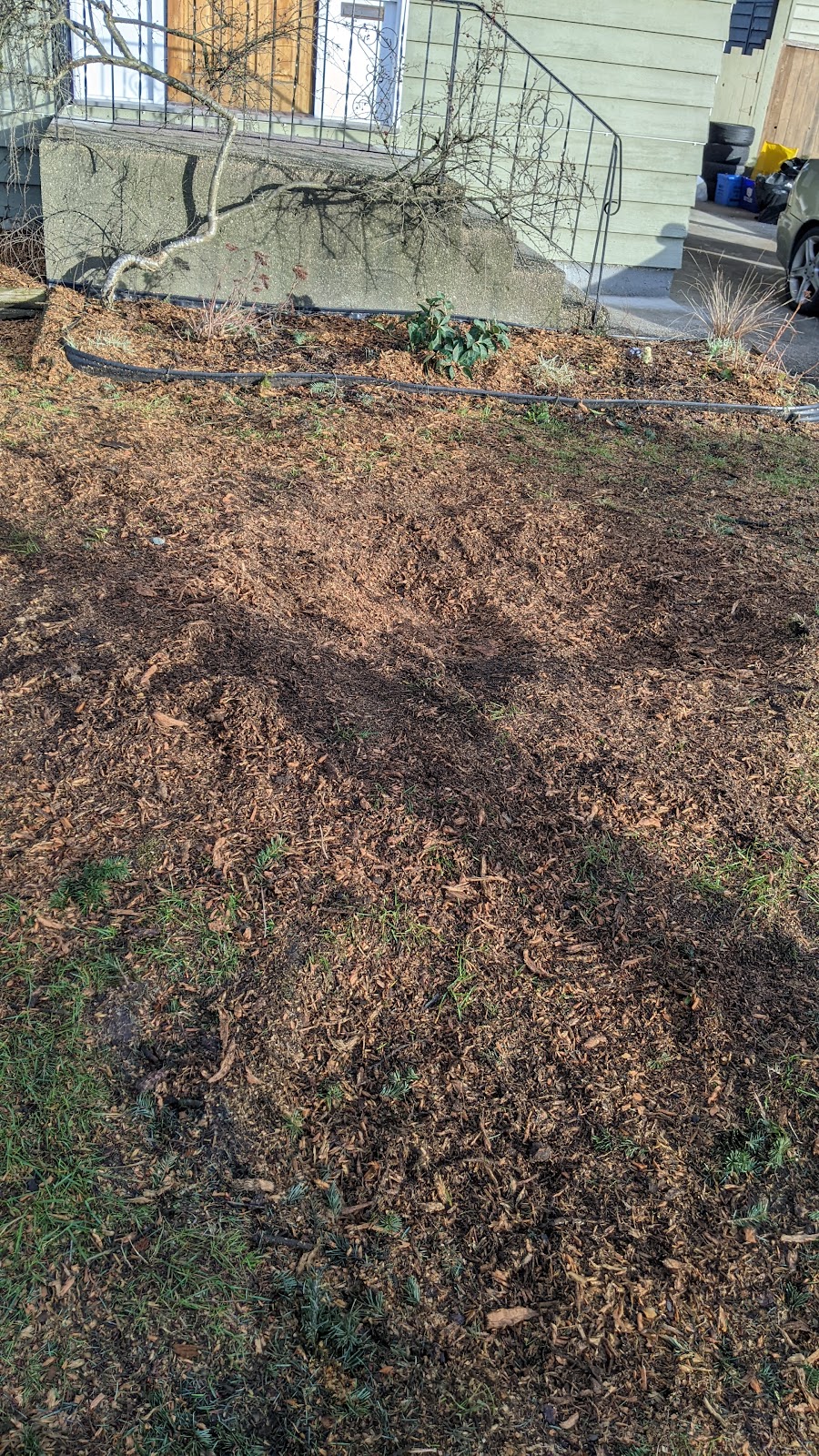 Brave Brothers Tree Experts Ltd. | 6461 129a St, Surrey, BC V3W 0E4, Canada | Phone: (778) 878-4330