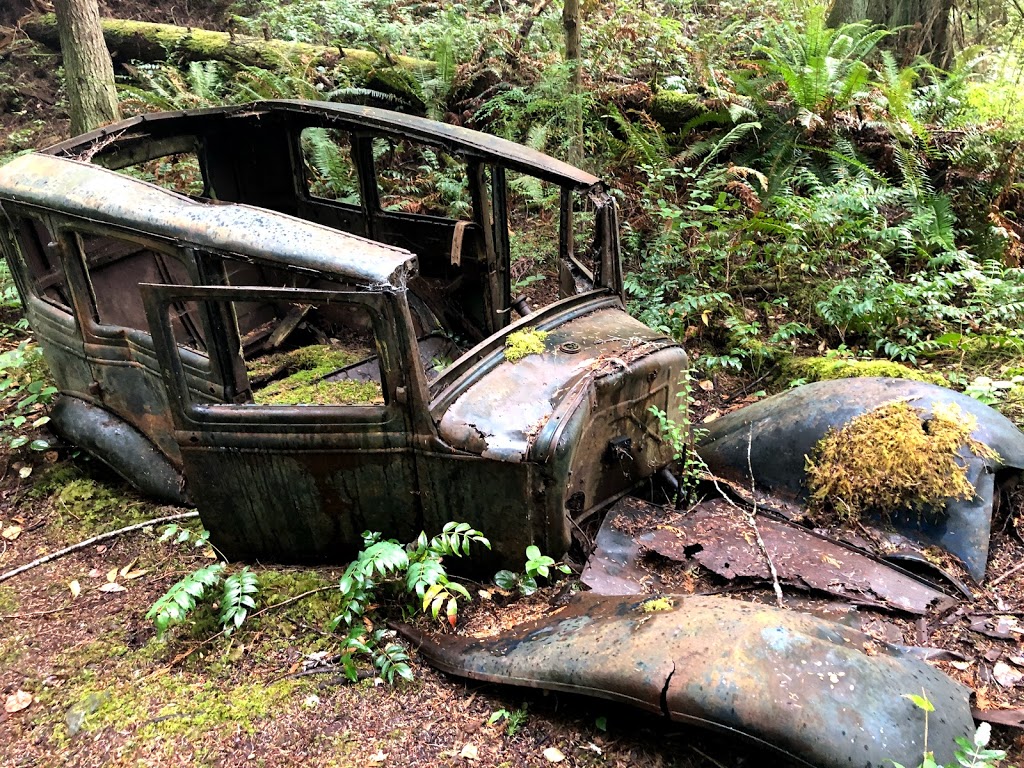 Tyner Park | 12611, Francis Peninsula Rd, Madeira Park, BC V0N 2H1, Canada | Phone: (604) 885-6800