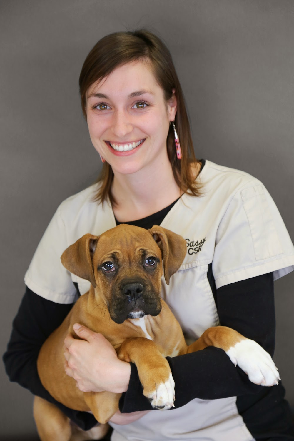 Animal Hospital Of Cambridge | 621 Hespeler Rd, Cambridge, ON N1R 6J3, Canada | Phone: (519) 624-9760