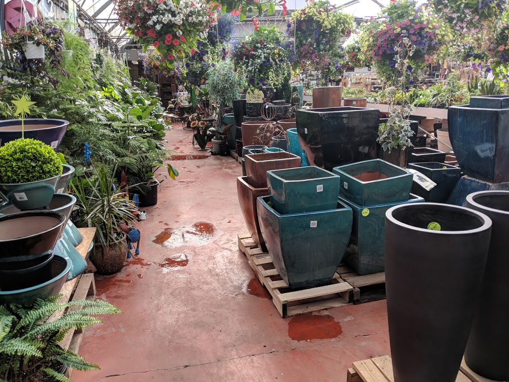 Homestead Nurseryland & Florist | 31888 Marshall Rd, Abbotsford, BC V2T 5Z9, Canada | Phone: (604) 854-6601