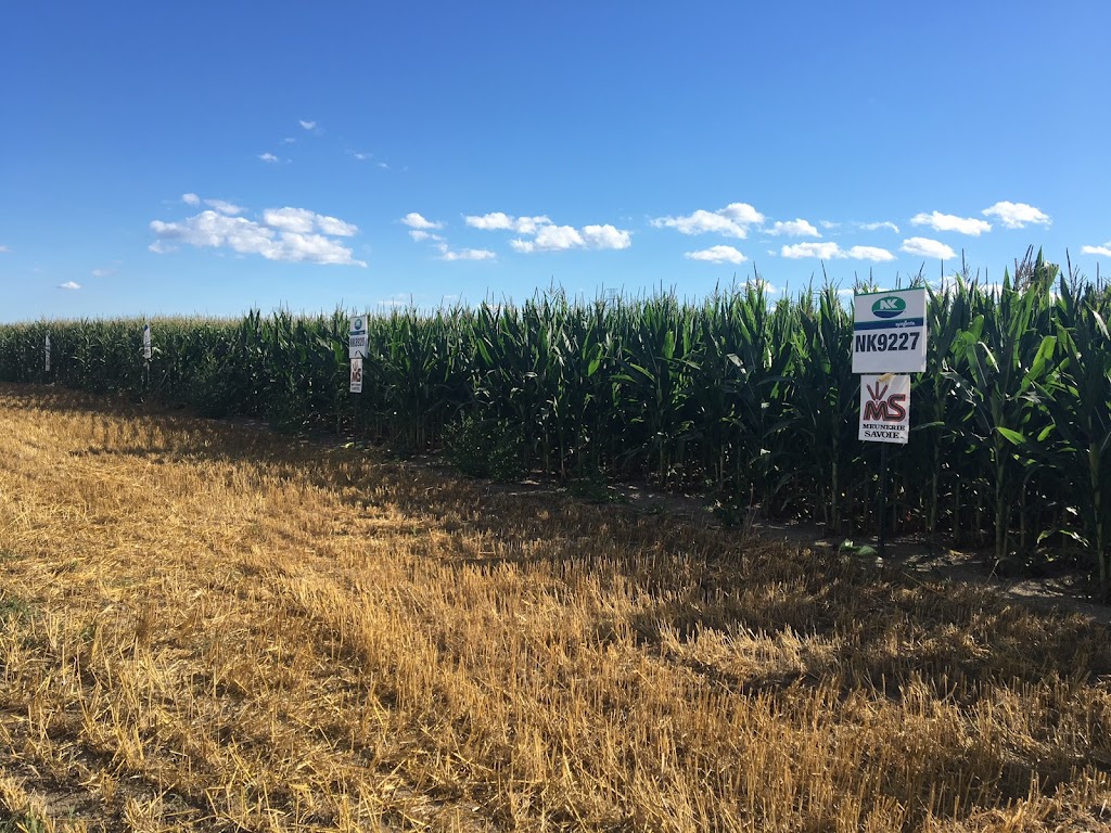 Meunerie Savoie Inc | 171 Rte Fafard, Saint-Cuthbert, QC J0K 2C0, Canada | Phone: (450) 836-3654
