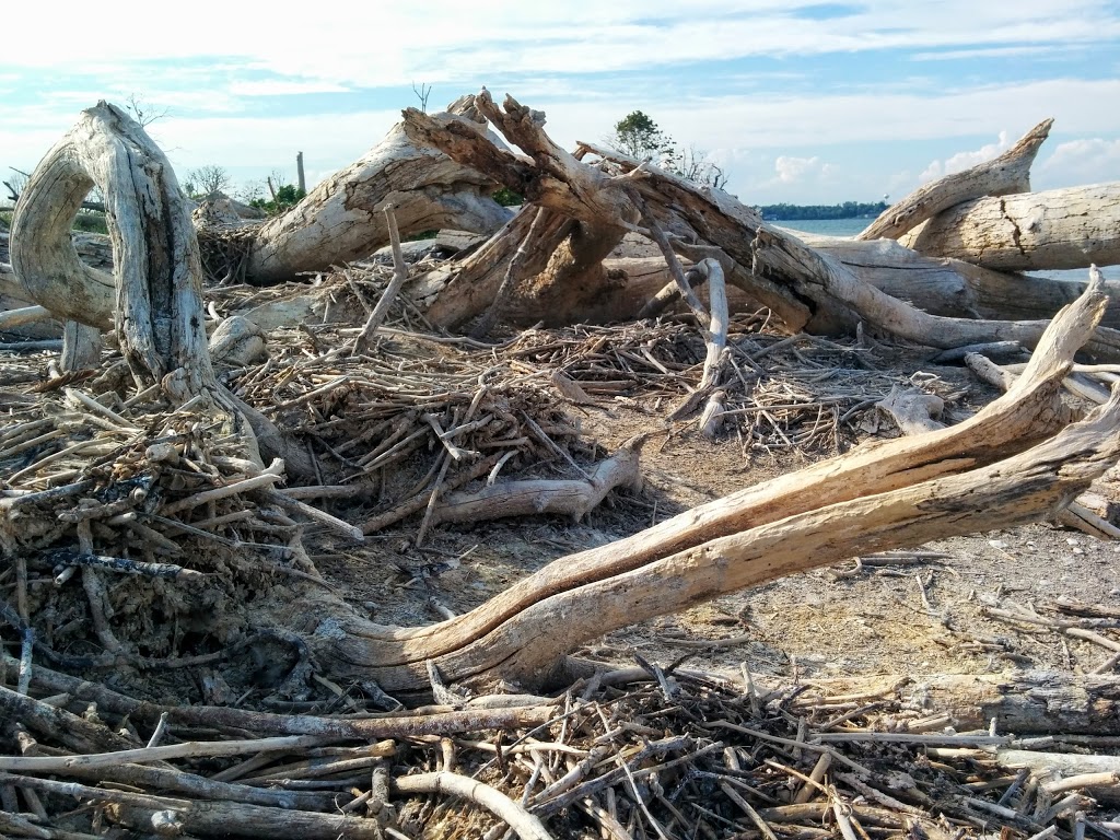 "East" Brothers Islands | Odessa, ON K0H 2H0, Canada