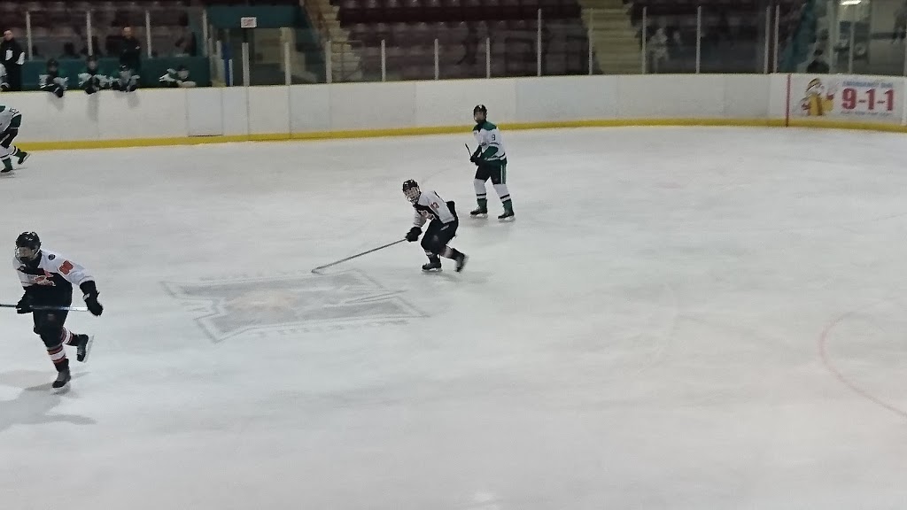 Greater Fort Erie Minor Hockey | 3 Municipal Centre Dr, Fort Erie, ON L2A 2S6, Canada | Phone: (905) 871-7191