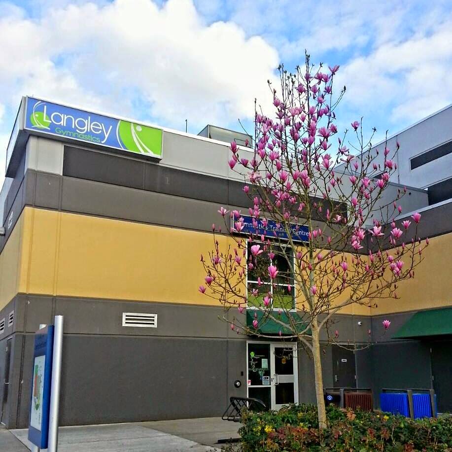 Langley Gymnastics Foundation | Suite #180 Box #16 7888 200 St, Langley City, BC V2Y 3J4, Canada | Phone: (604) 455-8845