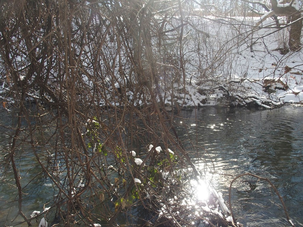 Mountain Locks Park | 107 Merritt St, St. Catharines, ON L2T 4E3, Canada | Phone: (905) 688-5600