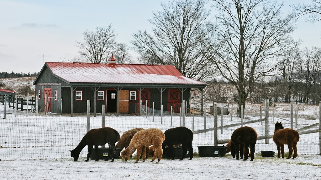 Brae Ridge Farm & Sanctuary | 7667 Maltby Rd E, Puslinch, ON N0B 2J0, Canada | Phone: (226) 924-4065