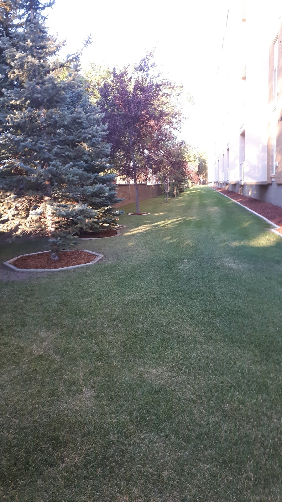 Sierras Of Courtyard Terrace | 2020 32 St S Unit 101, Lethbridge, AB T1K 7T9, Canada | Phone: (403) 329-6111
