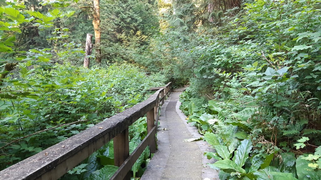 Miller Park Off-Leash Area | 871 Oakview St, Coquitlam, BC V3J 4T6, Canada