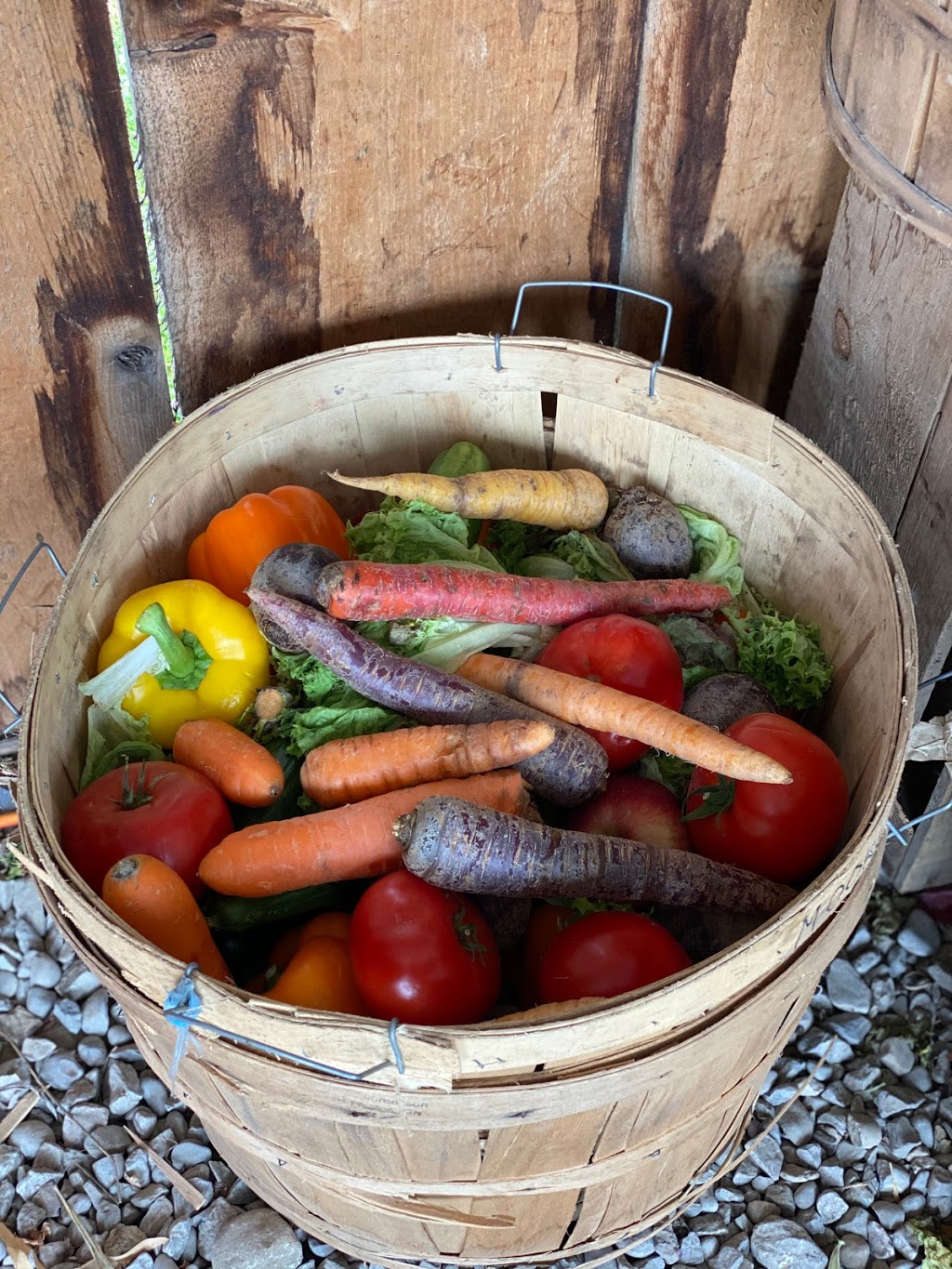 Garden Hill Farmers Market | 7994 Mill St, Campbellcroft, ON L0A 1B0, Canada | Phone: (289) 251-6403