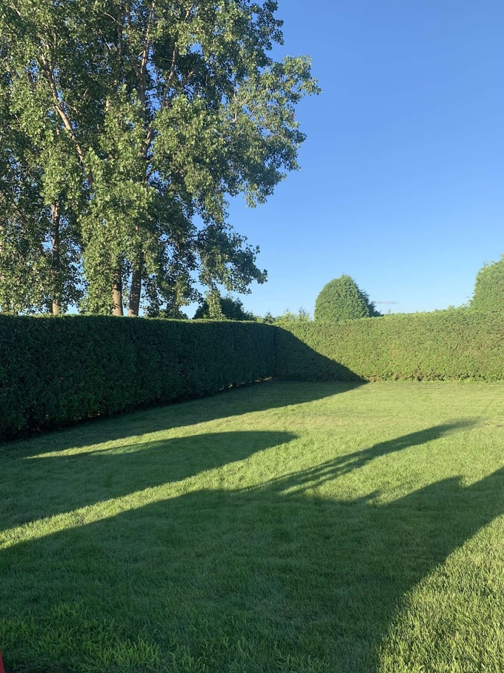 Booms Lawncare | 6485 Brigden Rd, Brights Grove, ON N0N 1C0, Canada | Phone: (519) 331-3706