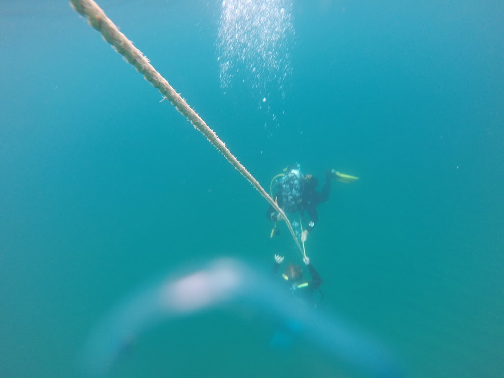 Neptunes Locker Dive Shop | 1390 Champlain Rd, Tiny, ON L9M 0C1, Canada | Phone: (705) 937-2172