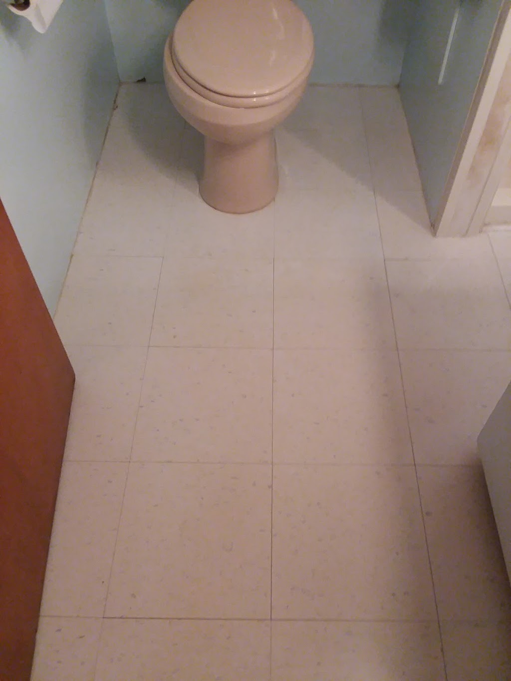 Tiger carpet care | 5495 Orchard Dr, East China, MI 48054, USA | Phone: (810) 420-0341