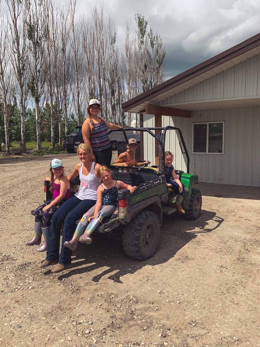 Dustyridge Equine Centre | Osterwick St S RR 1, Osterwick, MB R6W 4A1, Canada | Phone: (204) 362-4075