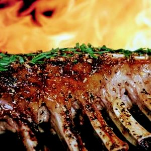 Restaurant lAquarium | 4745 Rue Jean-Talon E, Saint-Léonard, QC H1S 1K2, Canada | Phone: (438) 380-2910