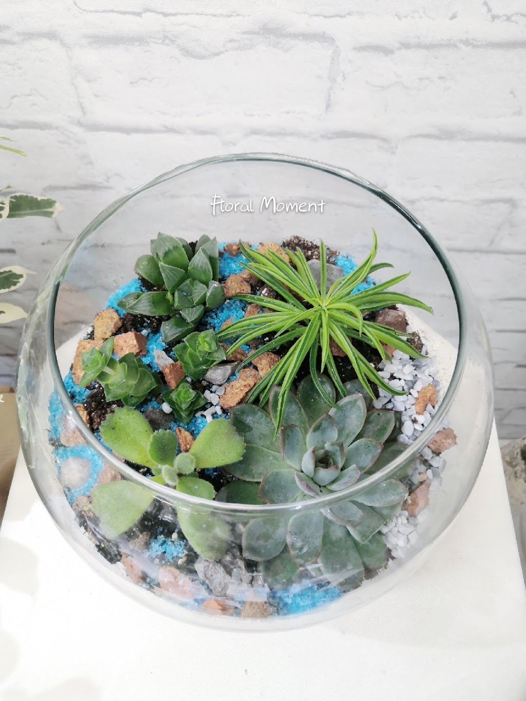 Floral Moment 时光花房 | 95 Major Buttons Dr, Markham, ON L3P 3X4, Canada | Phone: (647) 989-8907