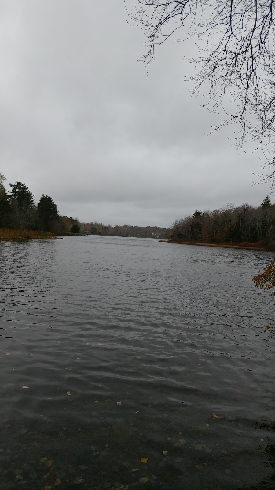 Sackville Lakes Trails Parking | 440 First Lake Dr, Lower Sackville, NS B4C 3L2, Canada